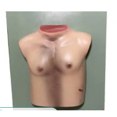Forensic Stab Injury Model
